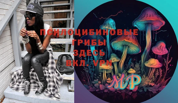 трава Лабытнанги
