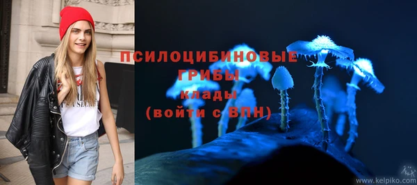 хмурый Ладушкин