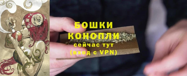 трава Лабытнанги