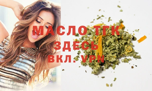 хмурый Ладушкин