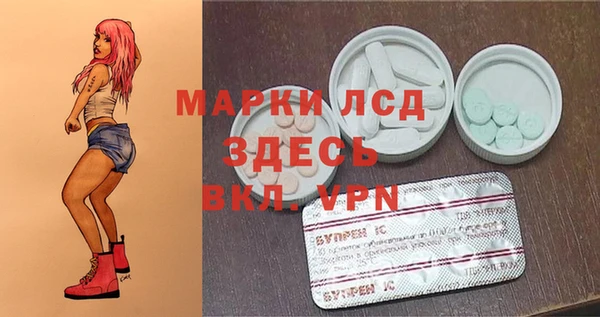 трава Лабытнанги