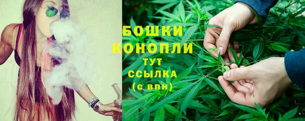 хмурый Ладушкин