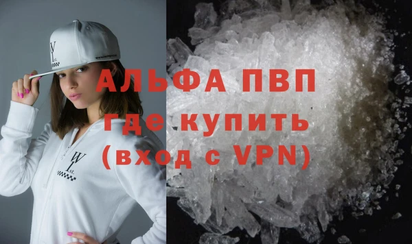 хмурый Ладушкин