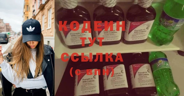 хмурый Ладушкин