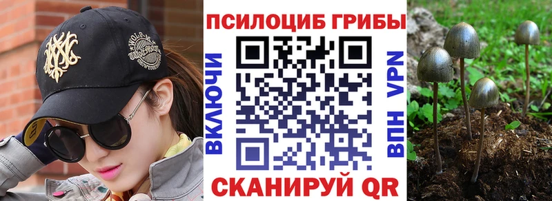 Псилоцибиновые грибы Magic Shrooms  Купить закладки  Белово 